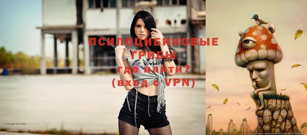 круглые Арсеньев