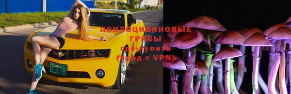 шишки Армянск