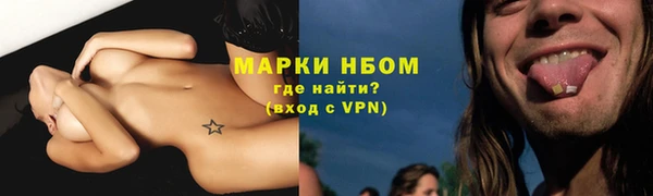 шишки Армянск